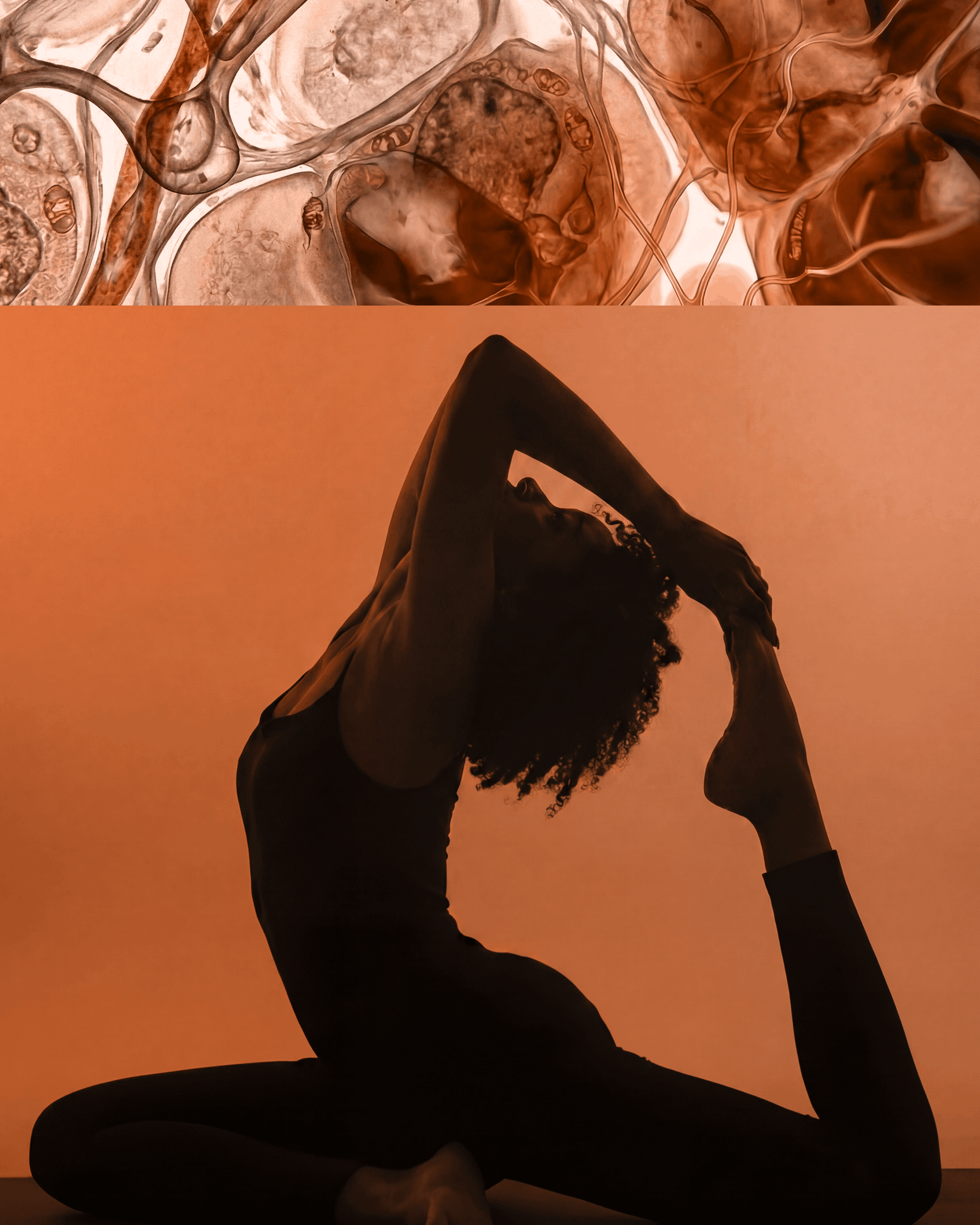 Autoimmune and Inflammation